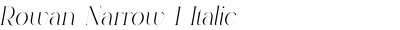Rowan Narrow 1 Italic
